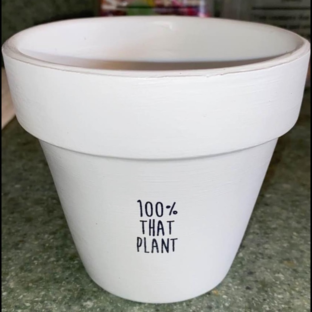 5in. Terracotta Plant Pot w/ Holder
